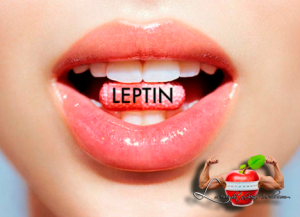 leptin