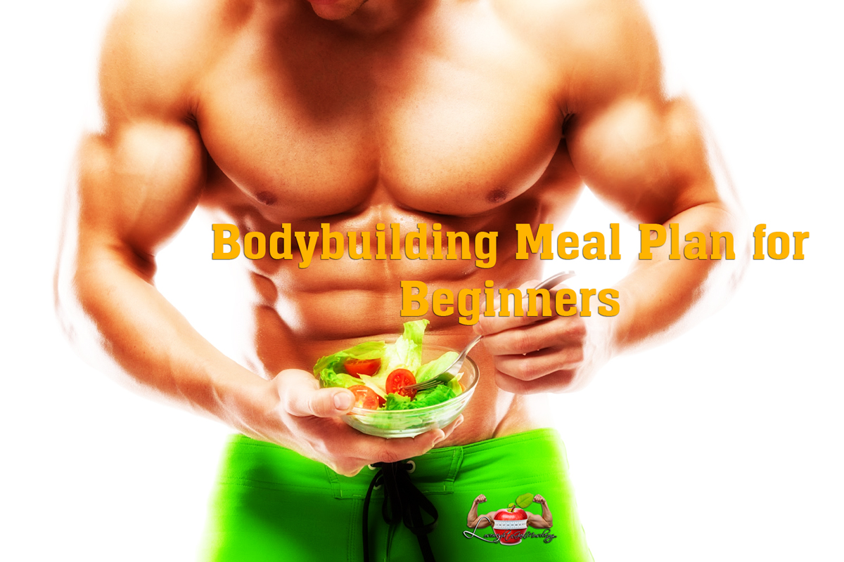 bodybuilding for beginners meal plan