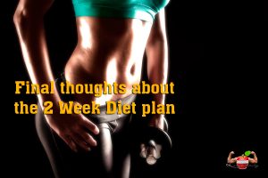 final thoughts about the 2 week diet plan
