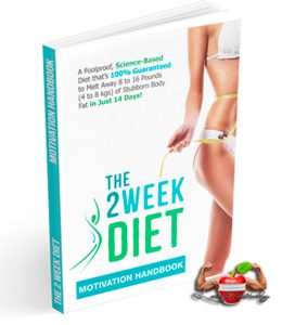 motivation handbook