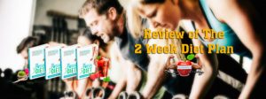 review of the 2 week diet plan