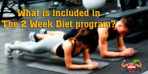 what is included in the 2 week diet program