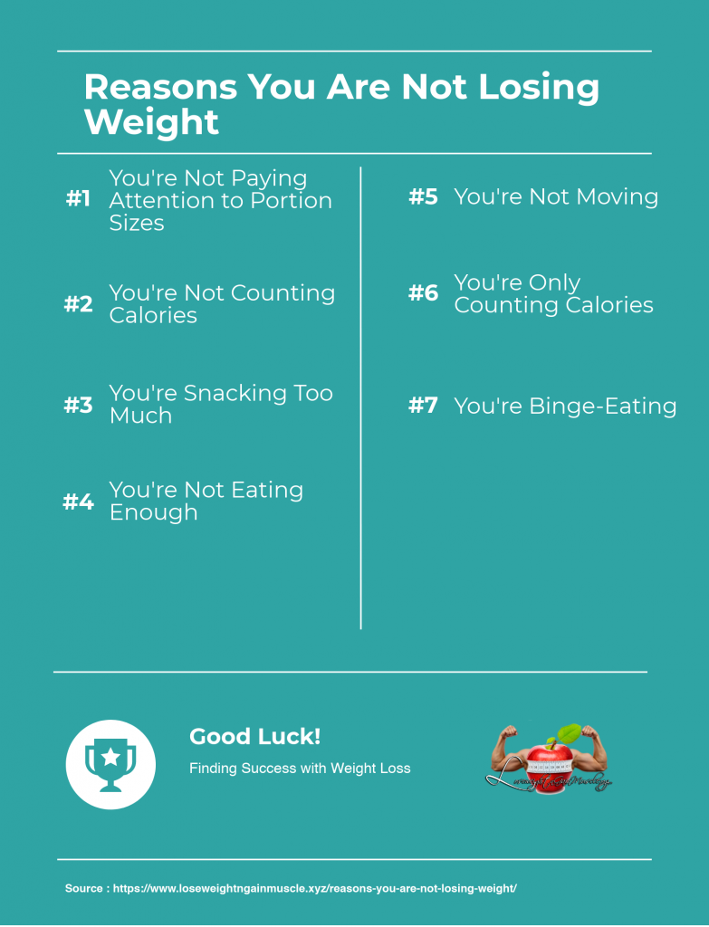 reasons you are not losing weight (infographic)
