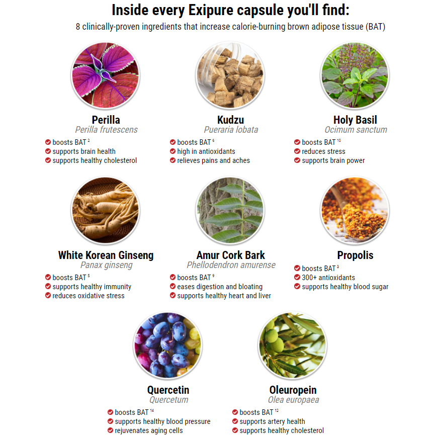 Exipure Ingredients